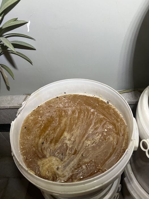 Натуральный мед янток/майский/оптом/в розницу/самый вкусный/доставка