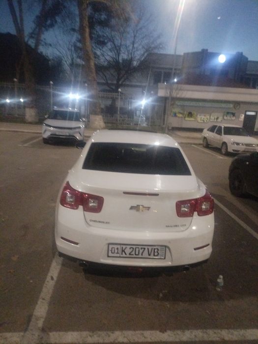 Malibu 1 kraska tozza