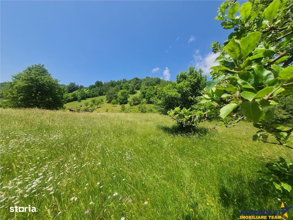 Teren 1.450 mp intravilan, la DN, cu priveliste de carte postala, Bran