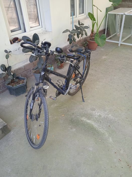 Veosapet spartvni satladi