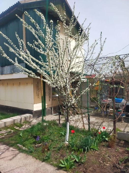 Дом,  посёлок  Актас