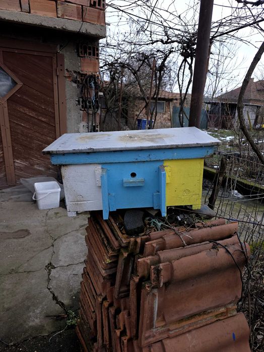 Пчелни рамки обтелени и оплодни сандъчета