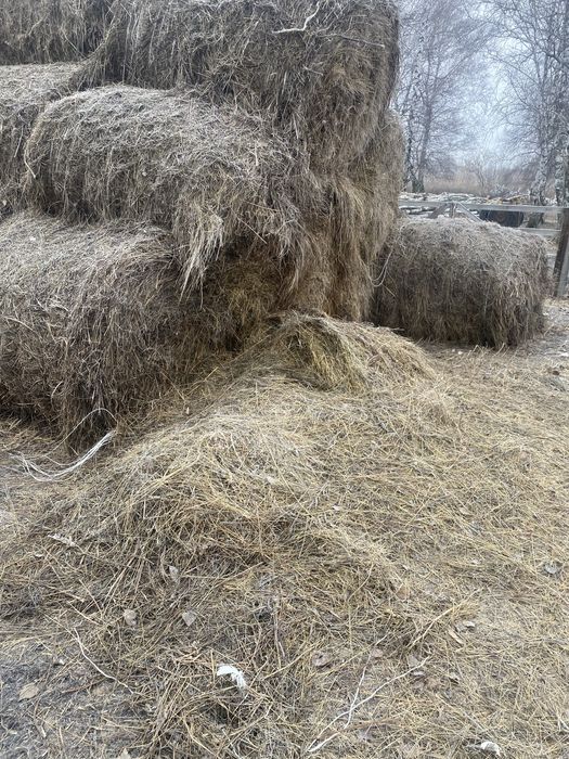 продам сено и салому