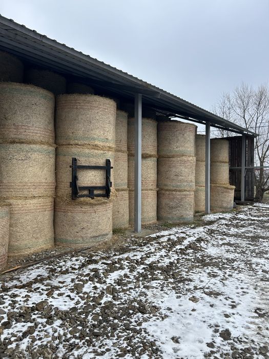 Baloți din paie orz/grâu