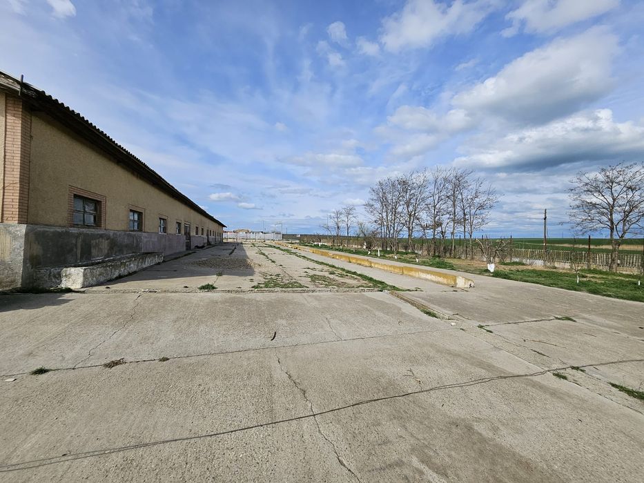 Ferma de vanzare sau la schimb cu teren arabil, imobiliare