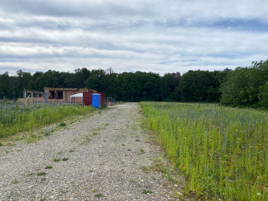 Vand Teren Intravilan Paulesti Cocosesti loturi 670 mp