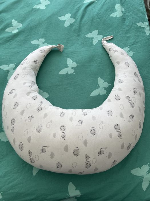 Perna gravide alaptare bebelusi