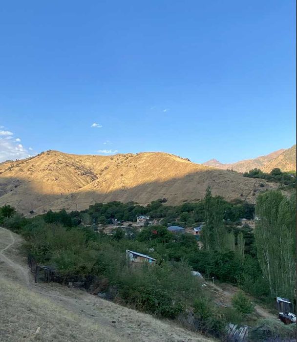 Продаётся участок 53 сотки с кадастром в Янгиабаде (сад и дом).