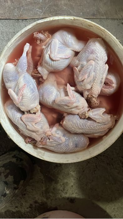 Мясо перепелинное