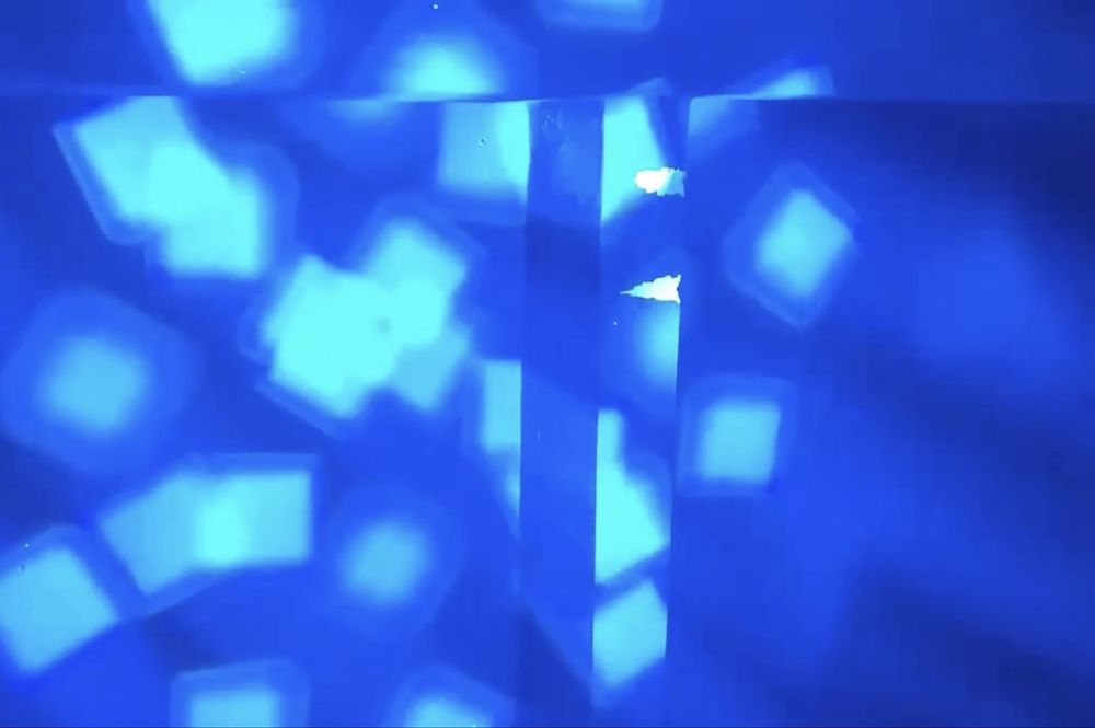 Световая голова Bee eye, глаз пчелы