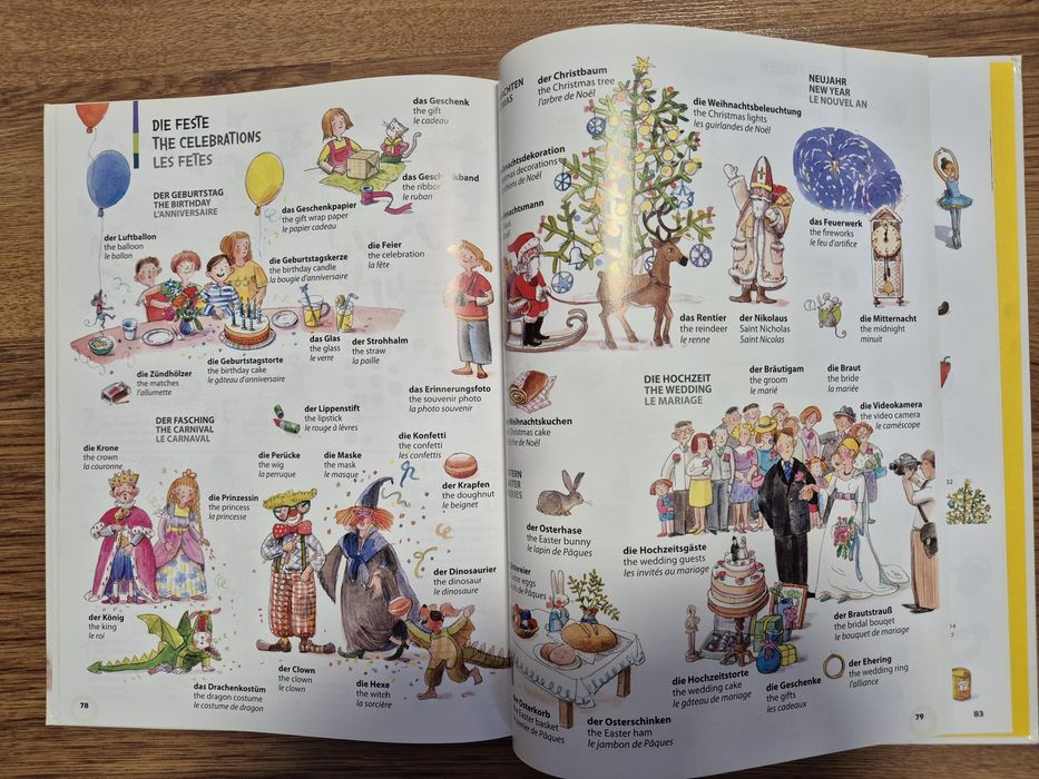 Lot dictionare in imagini si carte bilingva