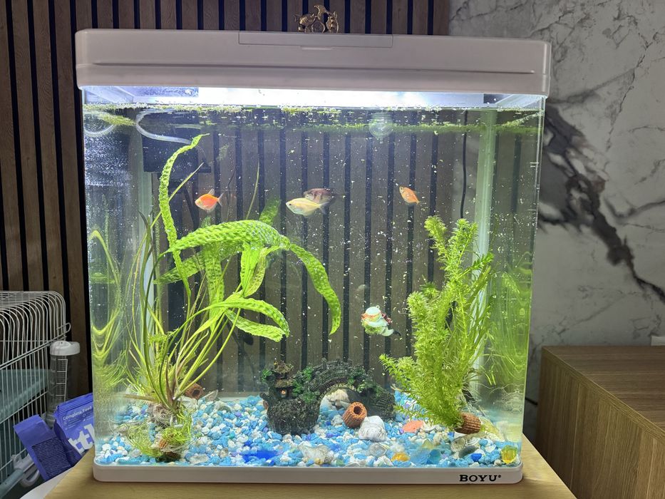 Продам аквариум