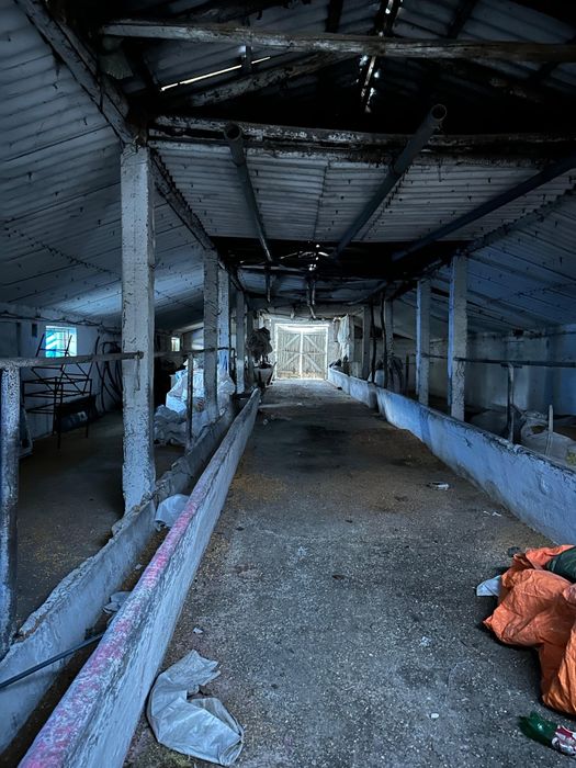 Grajd fostă fermă în Stelnica (IL)