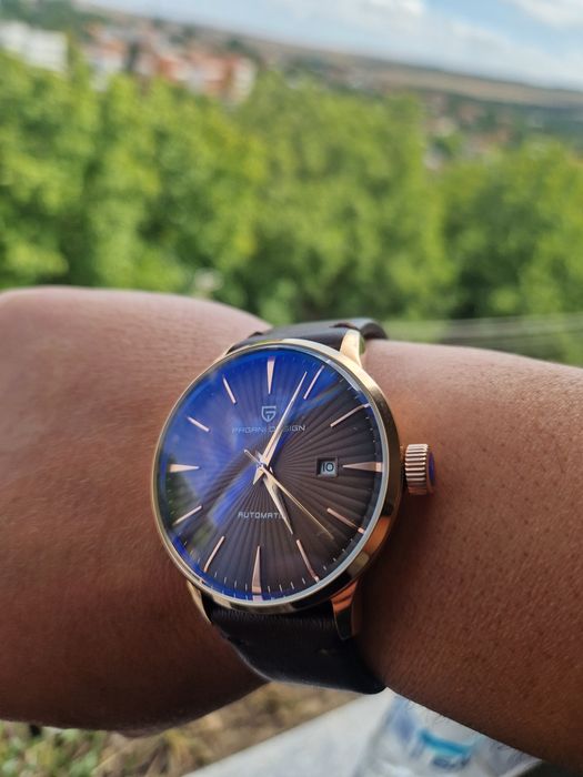 Pagani desing-нов