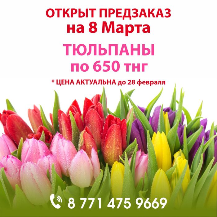 Тюльпаны по 650 тенге