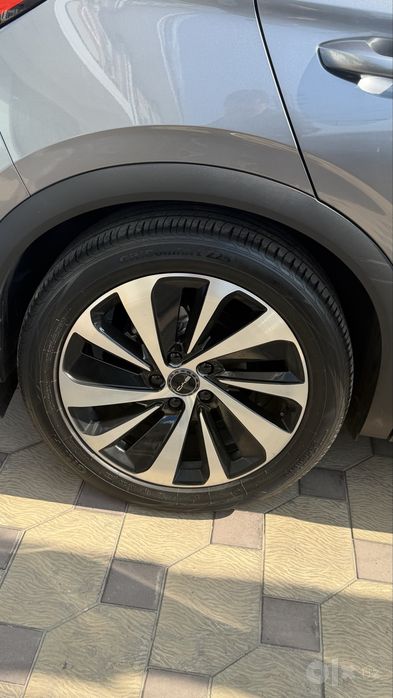 Byd champion Diska Balon