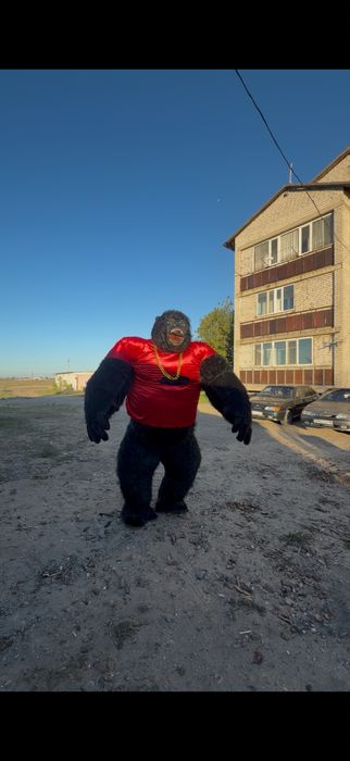 Горилла мишка зайчик аниматоры