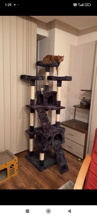 Катерушка за котки