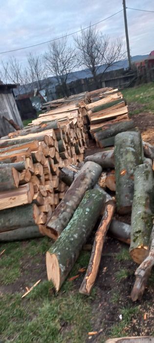 Vând lemn de foc  uscat și verde