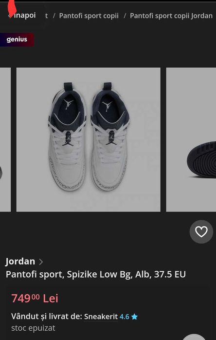 Jordani albi Spizike Low Bg