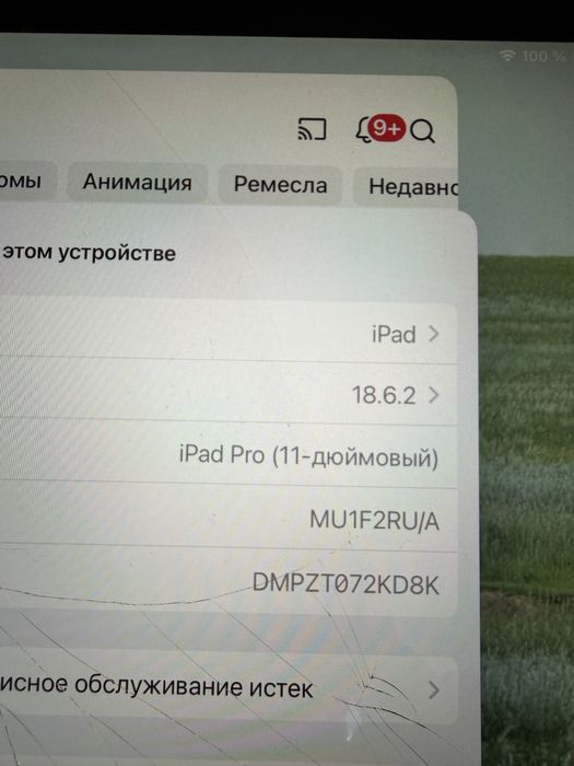 Ipad pro айпад про 512 gb