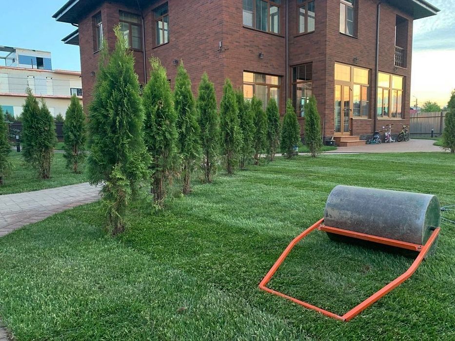 ГАРАНТИЯ рулонный газон от питомника