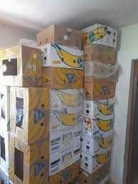 Cutii de banane din carton, rezistente – ideale pentru depozitare