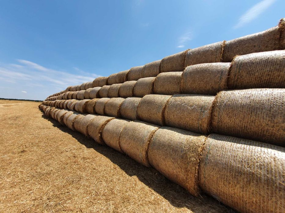 Baloti paie de grau