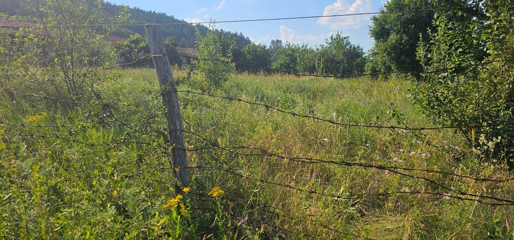 Продава се Парцел в с. Ковачевци, Област Перник - 1469 кв.м за 28 €/кв.м - Снимка #5