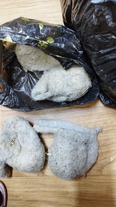 Әйнектің артындағы бағдарламадағы порно