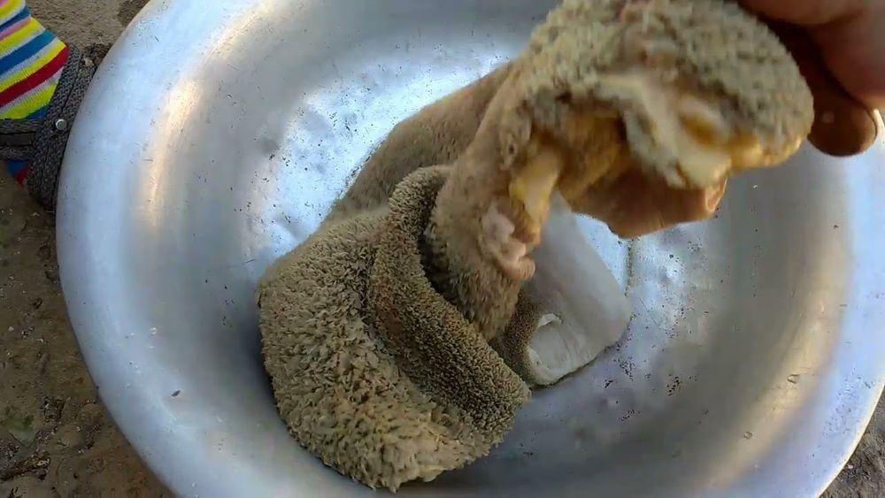 Говяжий требуха, карын