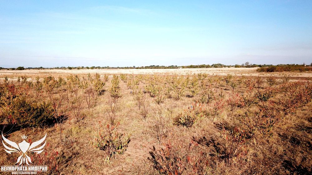 Продава се Земеделски имот в Асеновград -  кв.м за 3009 €/дка - Снимка #5