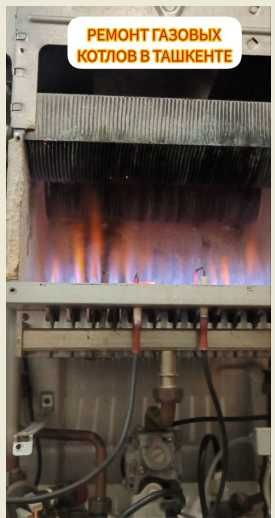 Качественный ремонт газовых котлов. Новые Запчасти бор!