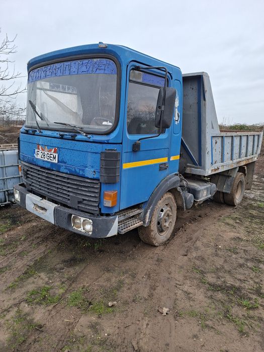 Frumumoasa Americana