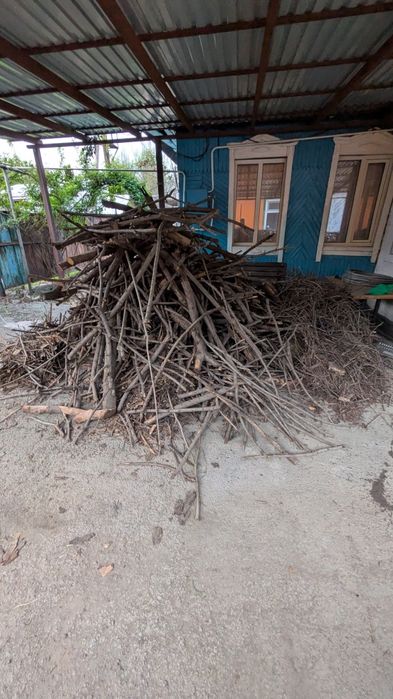 Дрова бесплатно.