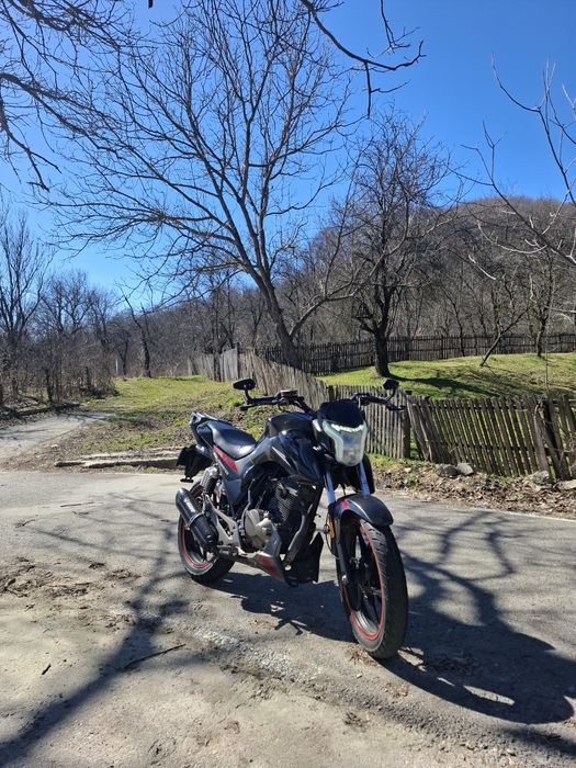 Vand daytona monster2022 125cc