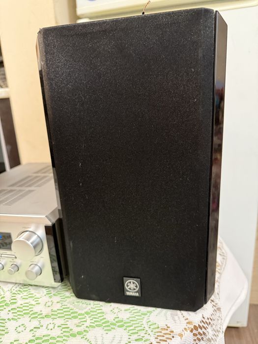 Yamaha NX-100 RX-E100