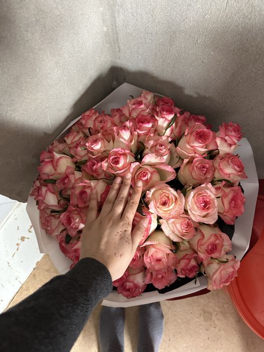 цветы елу бір гүлдер свежий