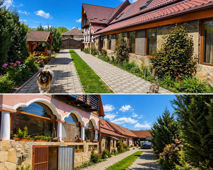 Casa de vanzare in Dridif!