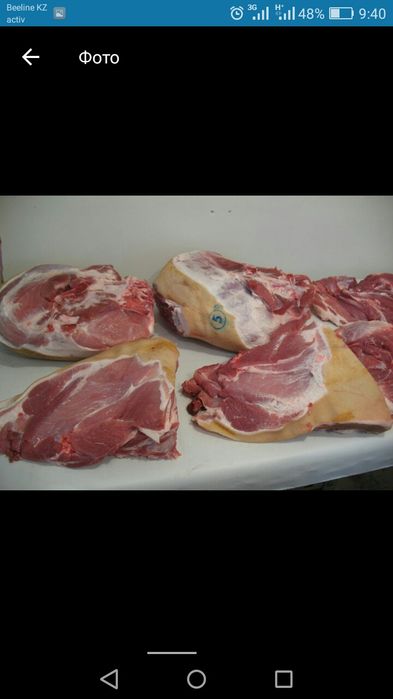 Продам мясо Свинины