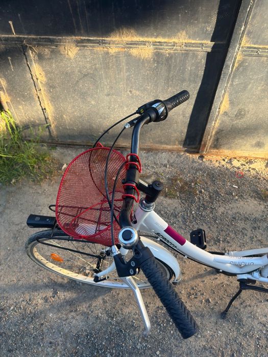 Articole sport Bicicleta