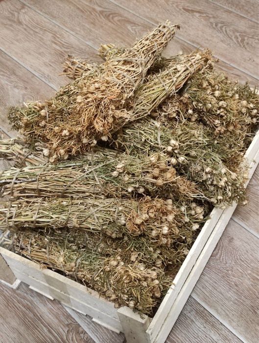 Адыраспан аластау үшін адраспан