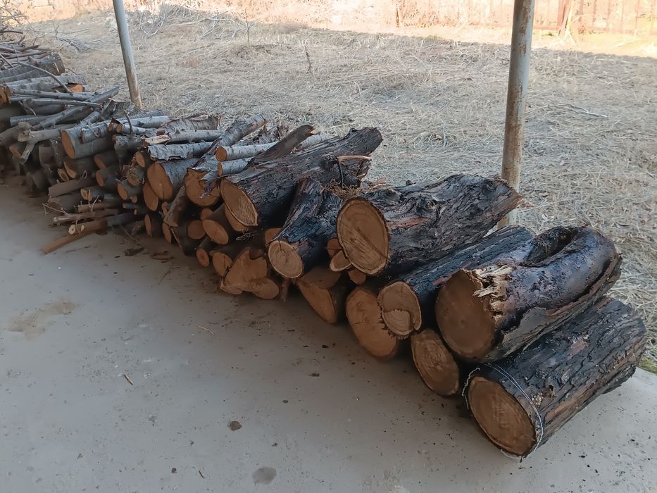 Утин дрова фруктовый, Янгиюль