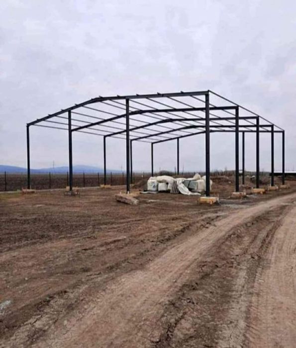 Vand hala metalică 12×30×3