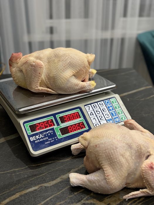 Курица бройлер домашняя