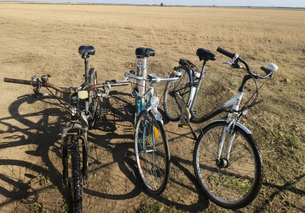 Biciclete de vanzare in stare buna.