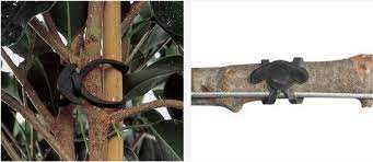 Guma elastica de legat tip ancora 5 si 8 cm 1 kg