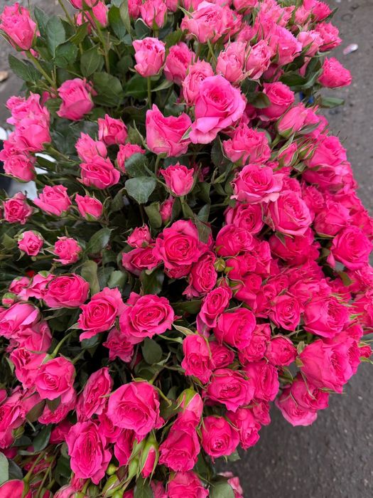 Розы оптом, белый, пинк, мандала, джумелия