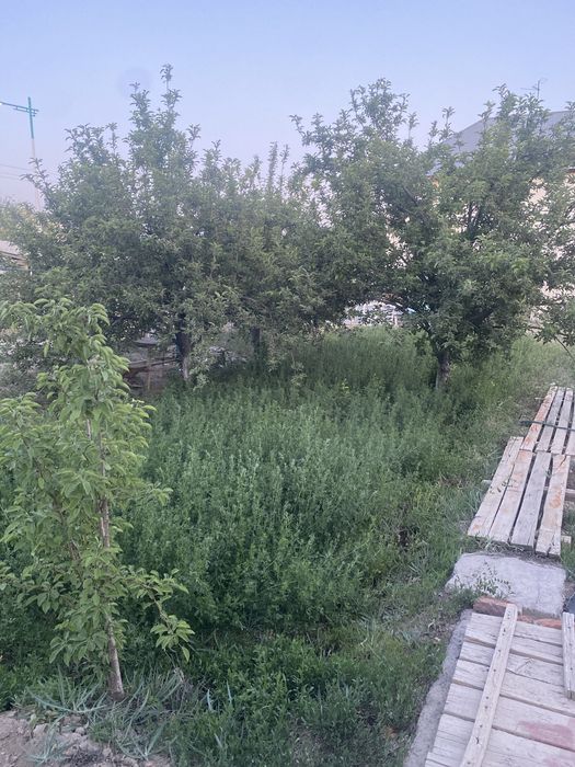 Жонышқа келіп орып алып кетесіздер