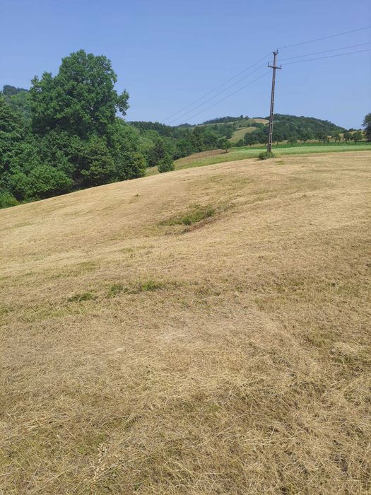 Teren intra si extravilan in Vad, Copalnic-Mănăștur, Maramures